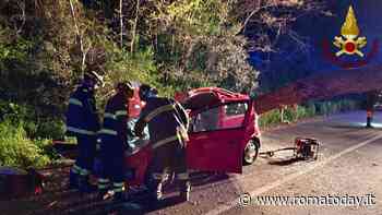 Albero crolla su auto in transito: due feriti, il passeggero è grave
