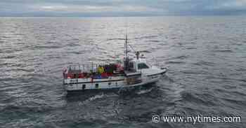 U.K. Seafood Exports Race Against the Tides of Brexit