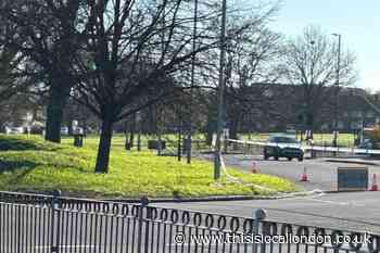 Westhorne Avenue Eltham crash: Man rushed to hospital