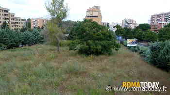 Il pezzo di terra abbandonato dal Vicariato che i cittadini vogliono trasformare in luogo di aggregazione