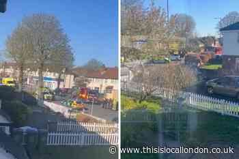 Avery Hill Road Eltham crash: Live traffic updates
