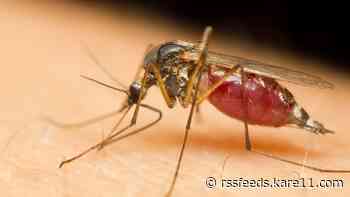 'We're likely going to see more than the past two years' Metropolitan Mosquito Control District gives update on upcoming mosquito season