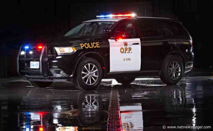 OPP Investigation Leads to One Arrest and Seizure of Illicit Substances and Weapons in Dryden