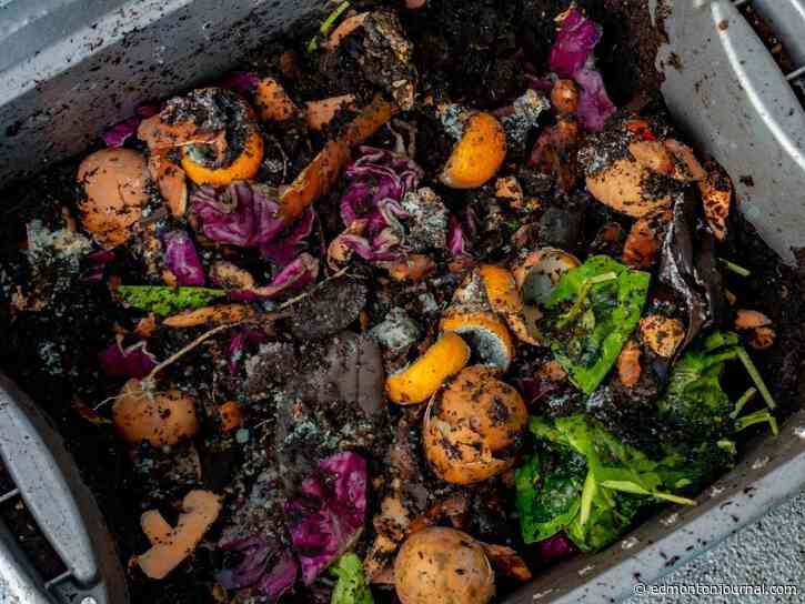 Growing Things: Many ways to manipulate soil