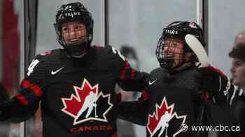 In the battle for future of women's pro hockey, some fans are left in awkward middle