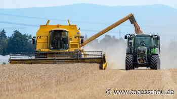 Nahrungsmittel: Seit zwölf Monaten sinken die Preise