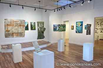 Mirror fibre artist Margaret Blank to be featured at annual Art Show