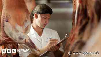 Warning post-Brexit border checks could deter EU imports