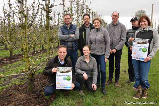 Ontdek het ‘Haspengouw van de Leiestreek’ te voet of met de fiets: “Trots op onze groene fruitstreek”