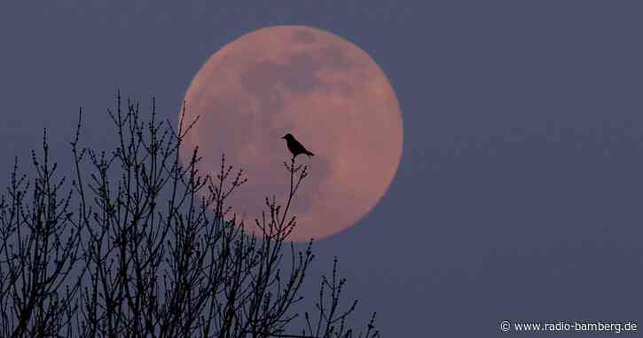 Wolken und Regen am Osterwochenende: Mehr Sonne am Montag