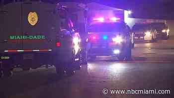 1 in Custody, 1 at Large After Attempting to Break Into Miami-Dade Officer's Vehicle