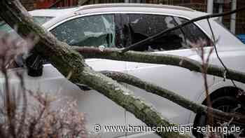 Sturm und Blitzeis sorgen für Schäden in Kanada