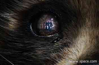 New 'Guardians of the Galaxy Vol. 3' teasers and poster drops as pre-order tickets go on sale