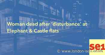 Murder investigation launched after woman dies at Elephant & Castle