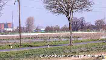 Bei Bleckenstedt – Gelände für das neue Umspannwerk wird sondiert