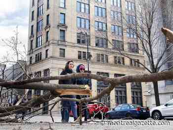 Quebec ice storm: Making the best of it at malls, with 'coffee the old-fashioned way'