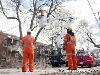 Quebec ice storm: Hydro reconnections, cleanup of branches will take all weekend