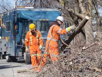 Quebec ice storm: Hydro reconnections, debris cleanup will take all weekend