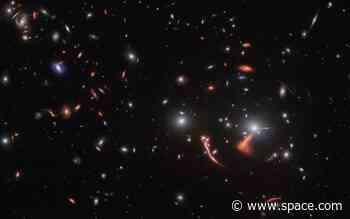 James Webb Space Telescope spots the Cosmic Seahorse through a gravitational lens (photo)