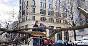 Ice storm: Carbon monoxide poisoning spikes as officials urge caution