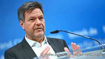 Habeck will Umgehung von Russland-Sanktionen bekämpfen