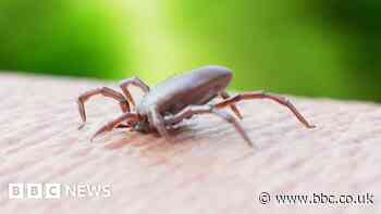Rare encephalitis tick disease found in England