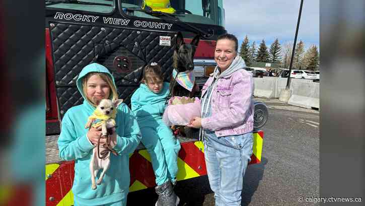Service dogs have a nose for Easter eggs at 25th anniversary event