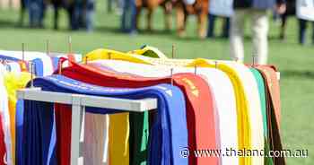 Watch the action from Sydney Royal through our livestreams