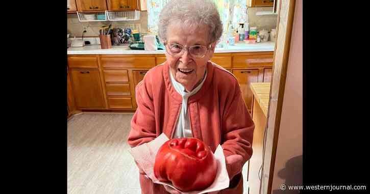 A 92-Year-Old Gardener Has Been Growing Tomatoes from the Same Seedlings for 58 Years