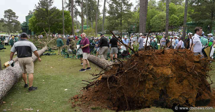 Storms bring down trees at The Masters, play halted in 2nd round