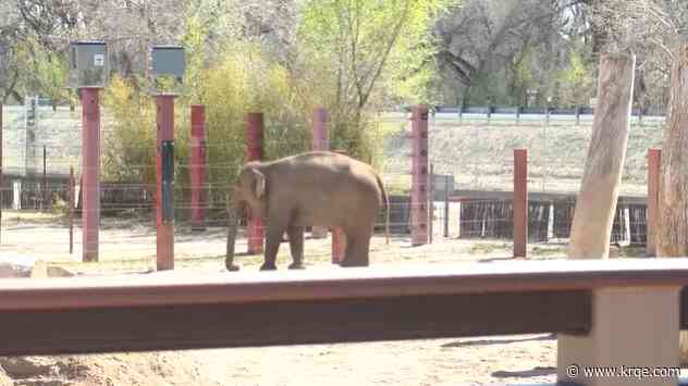 ABQ BioPark gives sneak peek at Asia exhibit expansion