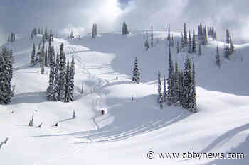 From green runs to steep runs: How visually impaired skiers get their turns