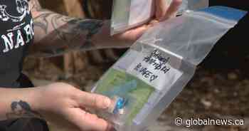 Advocates call for more testing kits for xylazine