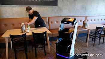 Are robot waiters the future? Some restaurants think so