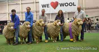 Conrayn Merinos claim first Stonehaven Cup with top wools