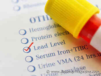 What Research Says About the Lead-Crime Hypothesis