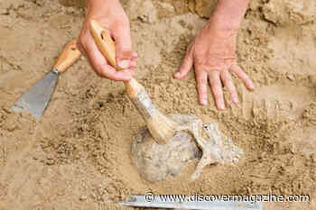 New Evidence Found for Stone Age Children, Thought Lost to Time