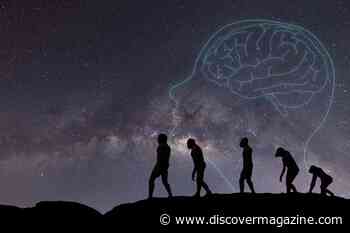 How Did Humans Evolve?