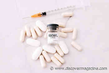 Could a Fentanyl Vaccine Breakthrough Save People From Overdoses?