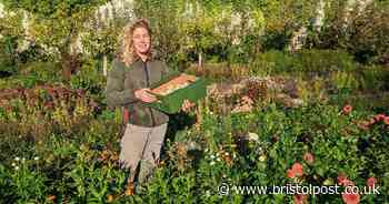 Growers providing South Bristol with beautiful baskets of food not in supermarkets