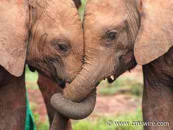 CFO Buy-In: Making It a Marketer's Advantage