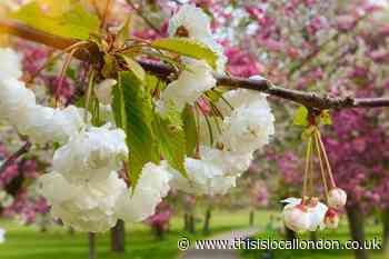 Things to do outdoors in south east London this Spring  