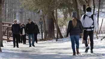 Gatineau Park 'a dangerous place' after storm, visitors urged to stay off trails