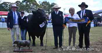 Pine Creek toasts Great Northern victory