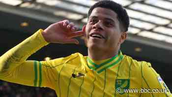 Blackburn Rovers 0-2 Norwich City: Canaries improve play-off hopes with victory