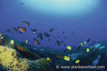 Cultural practices in monument area move council to allow sale of fish