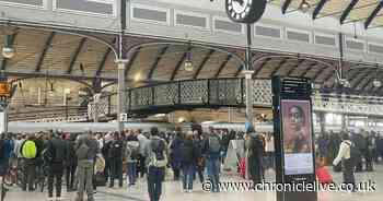 Tragedy as man dies after being hit by train on East Coast Mainline near Cramlington