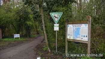 Nahe Düsseldorf: Jäger entdeckt menschliche Knochen in Sumpfgebiet