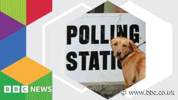 Local Elections 2023: Is there an election in my area?