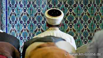 Twitter-Video geht viral: Katze springt Imam beim Gebet an